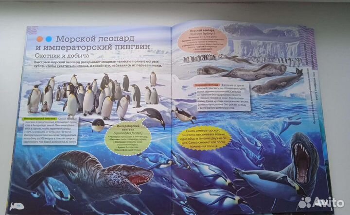 Энциклопедии