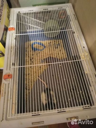 Клетка для грызунов