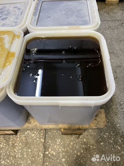 Гречишный мед оптом