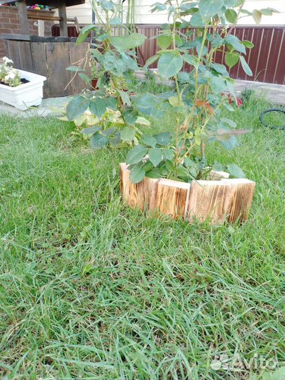 Кашпо - паровозик для цветов