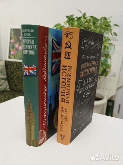 Две книги по истории, пакетом