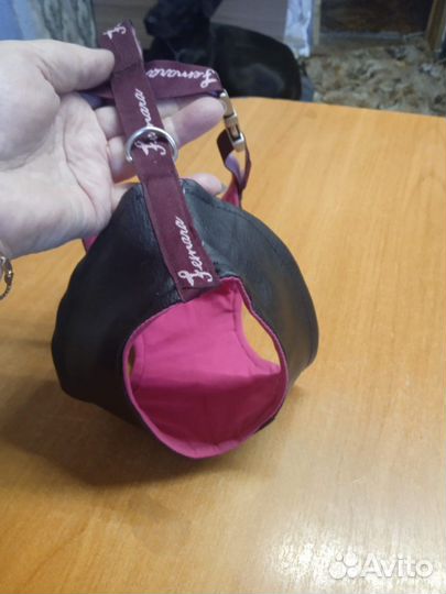 Шлейка для маленькой собаки