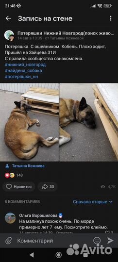 Собака в добрые руки