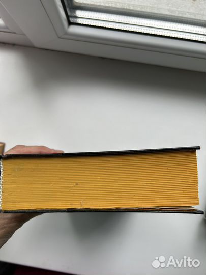 Брюсов Валерий 