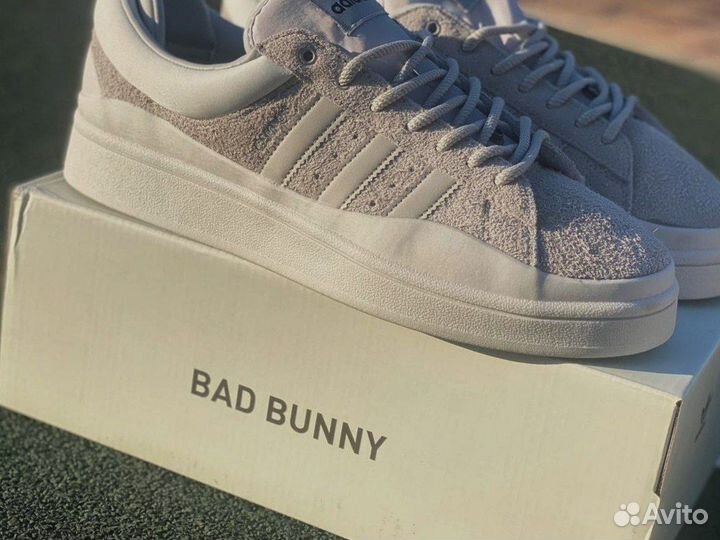 Adidas Campus x bad bunny