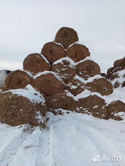 Сено солома в тюках,овёс бункерный