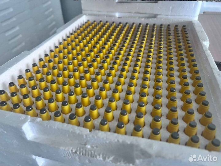 Оборудование для птицеводства в наличии