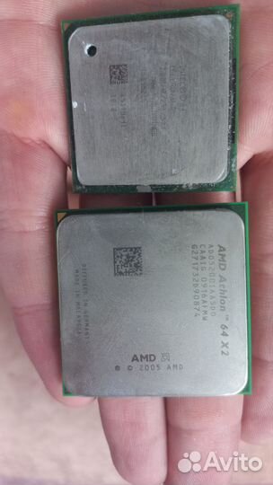 Процессор amd athlon 64 x2, Intel celeron