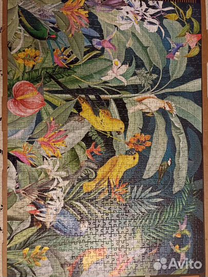 Паззл 1000шт обмен