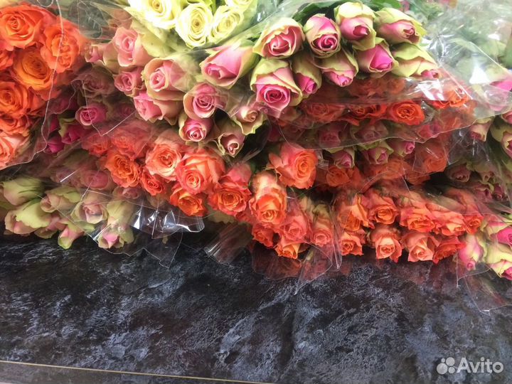 Роза Кенийская