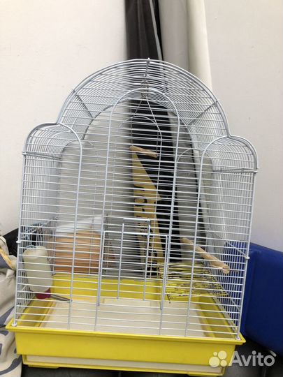 Клетка для птиц и для хомяков