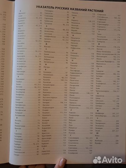 Большая энциклопедия Комнатные растения