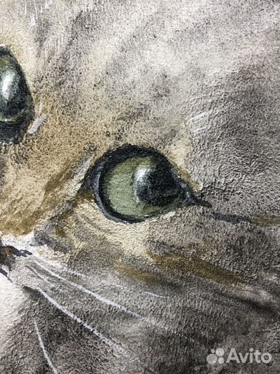 Картина акварель 25на 37