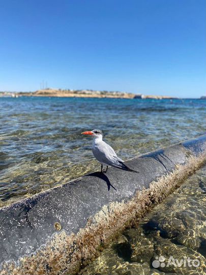 Турагент в Оренбурге