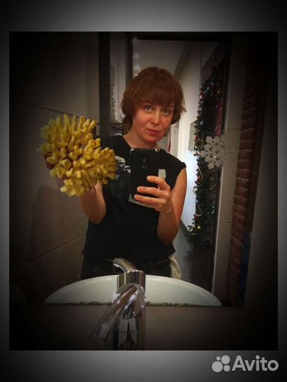 Чистка аквариума. Аквариумист