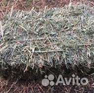 Для животных