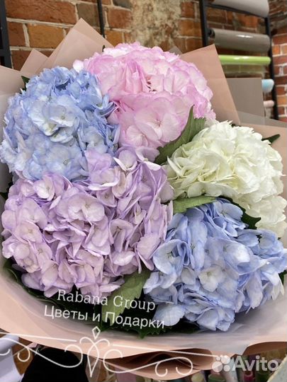 Гортензии с доставкой. Цветы гортензии