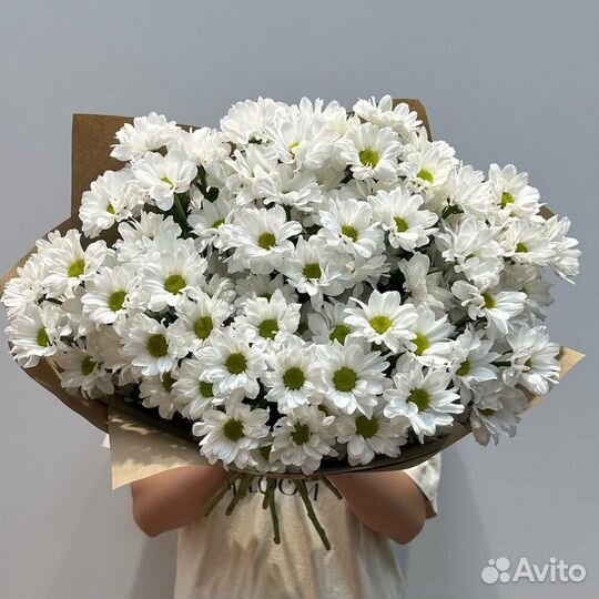 Букет 11 ромашек 