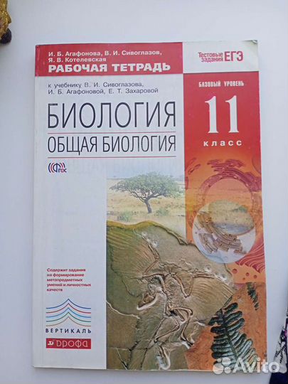Рабочая тетрадь по биологии 11 класс
