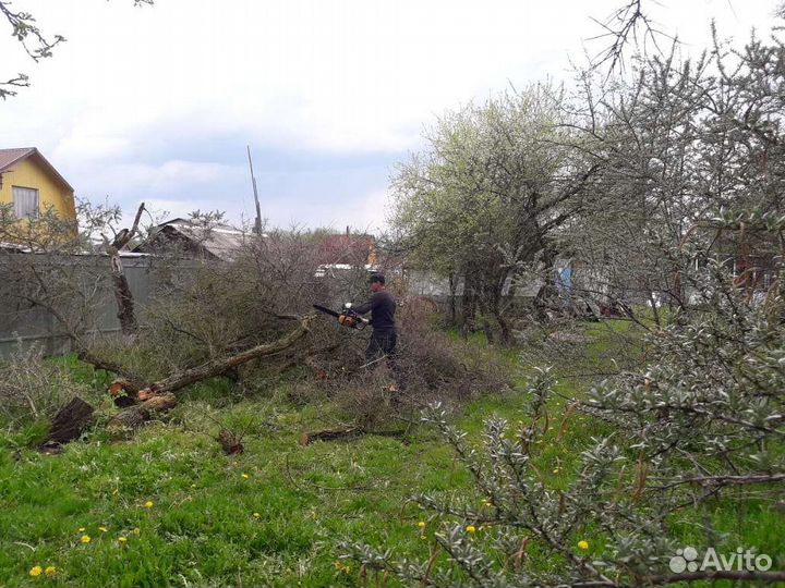 Покос травы