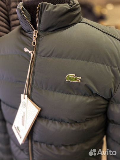 Пуховик lacoste