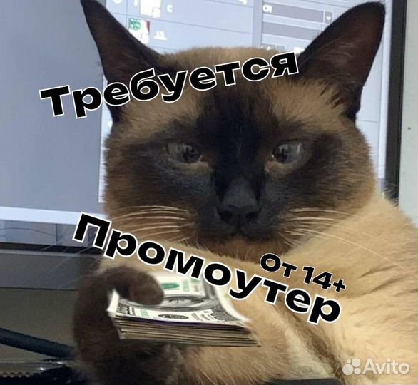 Промоутер с ежедневной оплатой