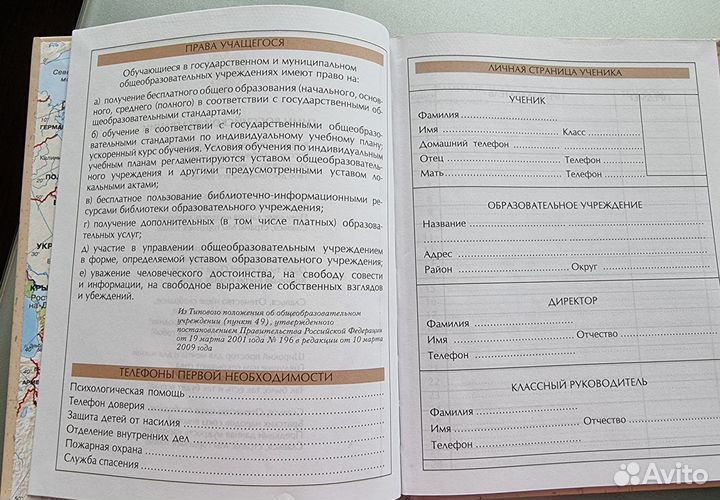 Дневник российского школьника