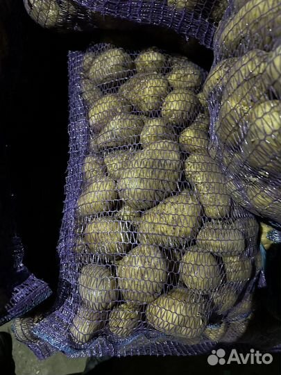 Картофель оптом