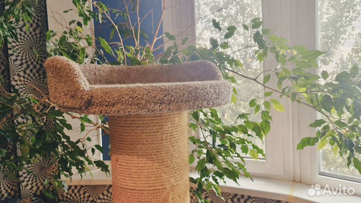 Большая когтеточка с домиком