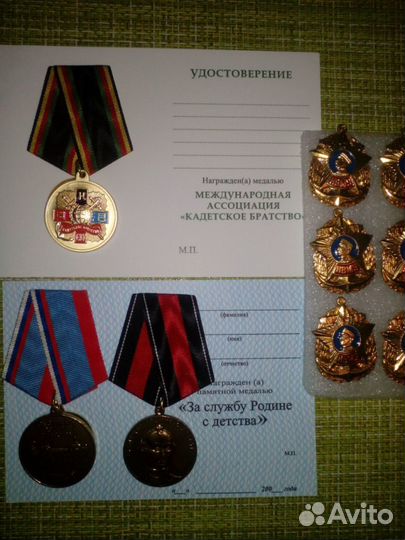 Знак за заслуги в образовании окончании нвму сву