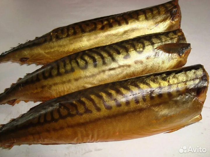 Скумбрия провесная и холодного копчения