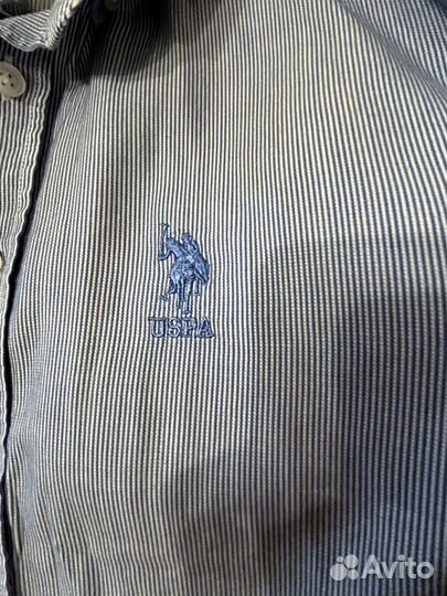 Рубашка мужская us polo assn