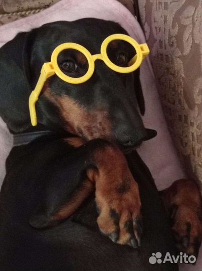 Такса кабель вязка