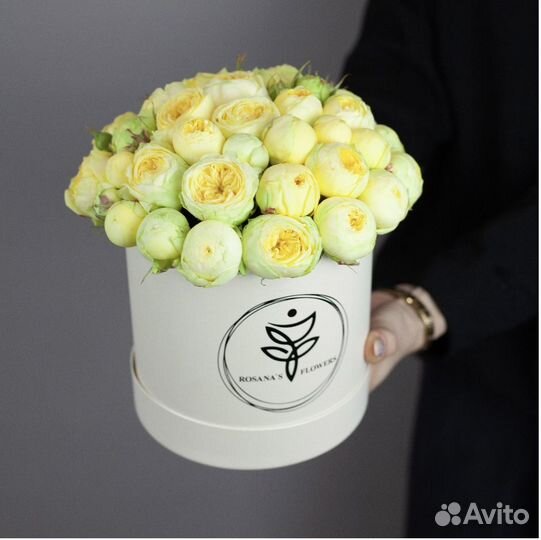 Кустовые пионовидные розы