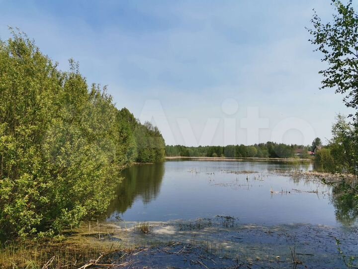 Участок 2,4 га (ИЖС)