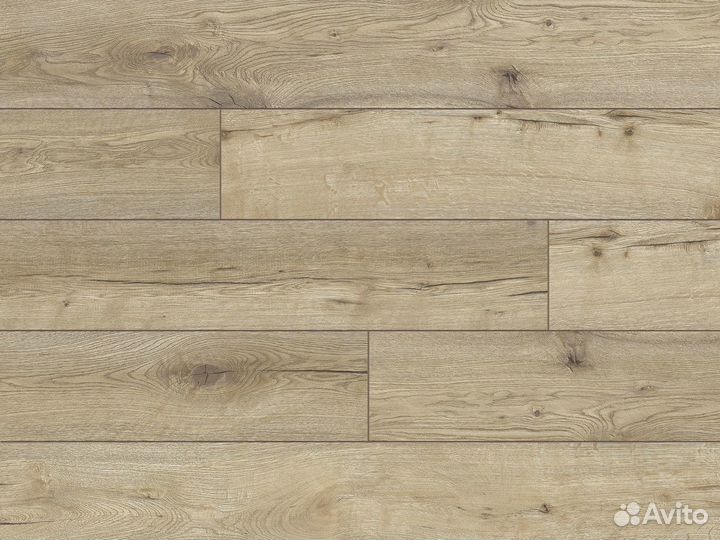 Ламинат Classen Expedition Дуб Масая