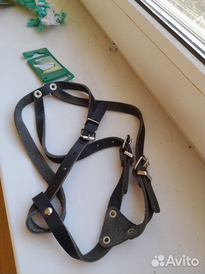 Для собаки игрушки и шлейка