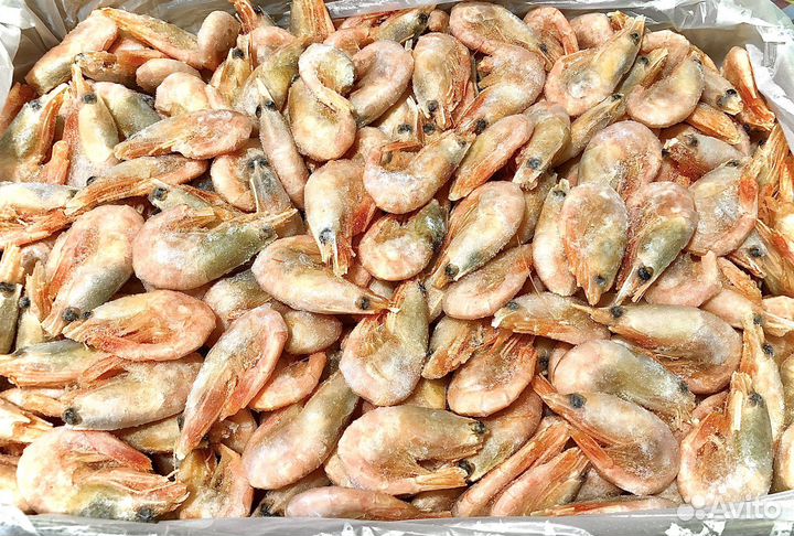 Клешни краба стригуна