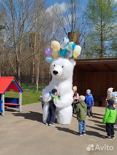 Поздравление от Белого Мишки и Панды (2.6 м.)