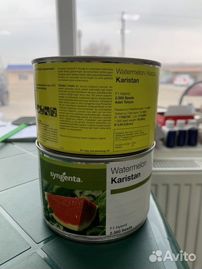 Арбузы оптом