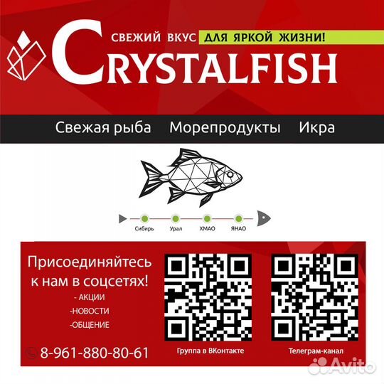 Печень трески в банке