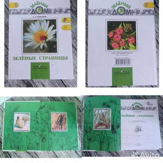 Плешаков зеленые страницы