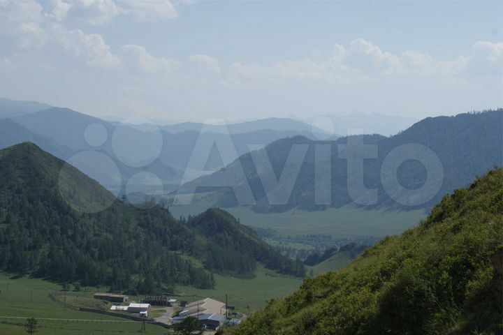 Участок 310 га (СНТ, ДНП)