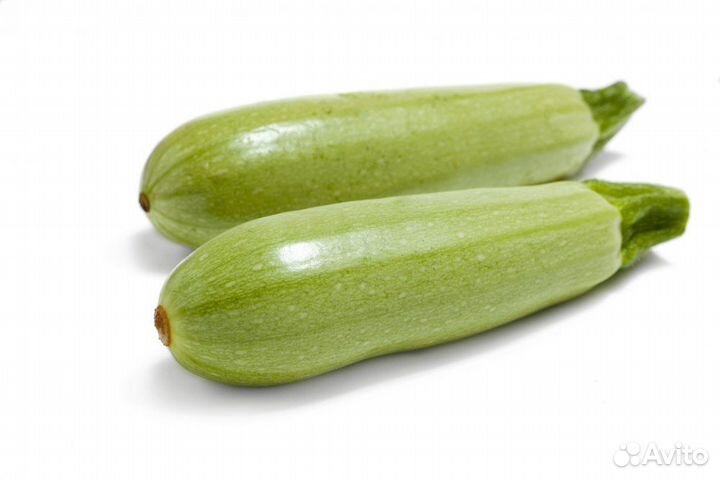 Кабачки домашние