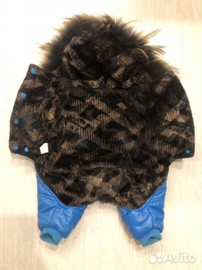 Одежда для собак