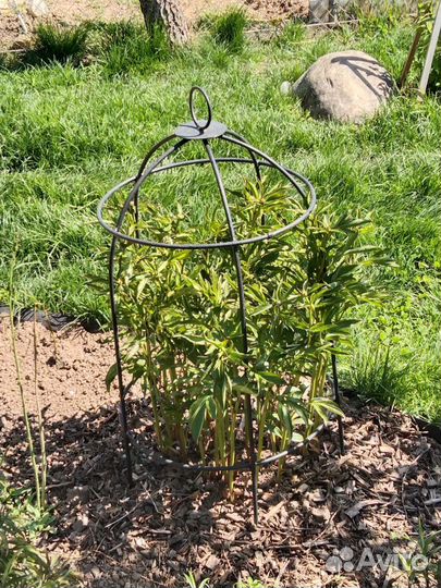 Подставка под клематисы