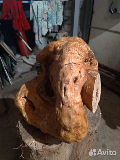 Кап Сувель березовый