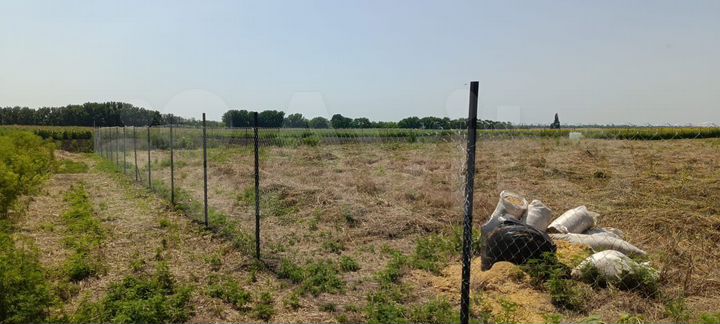 Участок 42 сот. (ИЖС)