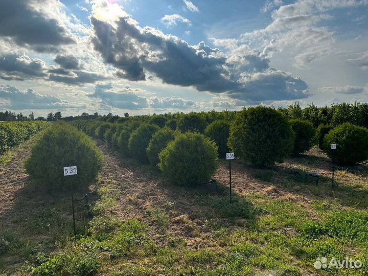 Ищем инвестора в бизнес