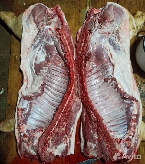 Мясо свинина